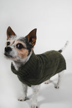 Load image into Gallery viewer, CABLE DOG SWEATER