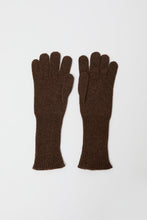 Load image into Gallery viewer, Exquisite J Gloves in Brown with Mocha