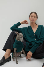 Load image into Gallery viewer, CASHMERE JERSEY DOG SWEATER