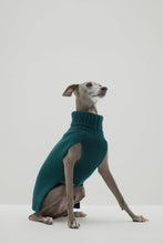 Load image into Gallery viewer, CASHMERE JERSEY DOG SWEATER