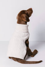 Load image into Gallery viewer, CABLE DOG SWEATER