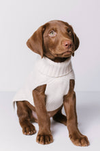 Load image into Gallery viewer, CABLE DOG SWEATER