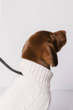 Load image into Gallery viewer, CABLE DOG SWEATER