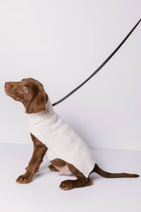 CABLE DOG SWEATER