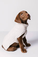 Load image into Gallery viewer, CABLE DOG SWEATER