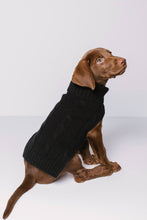 Load image into Gallery viewer, CABLE DOG SWEATER