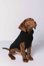 Load image into Gallery viewer, CABLE DOG SWEATER