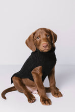 Load image into Gallery viewer, CABLE DOG SWEATER