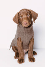 Load image into Gallery viewer, CABLE DOG SWEATER