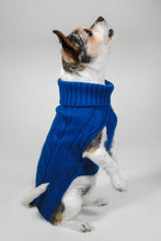 Load image into Gallery viewer, CABLE DOG SWEATER