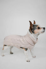 Load image into Gallery viewer, CABLE DOG SWEATER