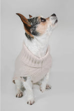 Load image into Gallery viewer, CABLE DOG SWEATER