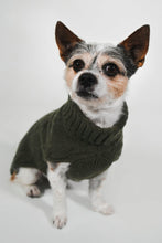 Load image into Gallery viewer, CABLE DOG SWEATER