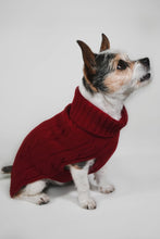 Load image into Gallery viewer, CABLE DOG SWEATER