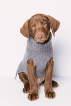 Load image into Gallery viewer, CABLE DOG SWEATER