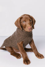 Load image into Gallery viewer, CABLE DOG SWEATER