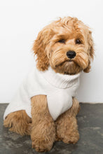 Load image into Gallery viewer, CABLE DOG SWEATER