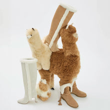 Load image into Gallery viewer, Cindy Hi Faux Fur Boot In Peanut Suede and Natural Shearling