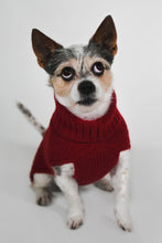 Load image into Gallery viewer, CABLE DOG SWEATER